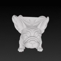 French Bulldog Bowl ❤️-2