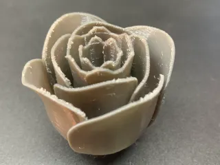 STAND OF ROSES