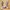 Roblox Megapack troféu Cosplay e Personagem