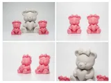 Sweet Tedy Bear-6