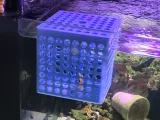 Fish Tank Isolation Box-0