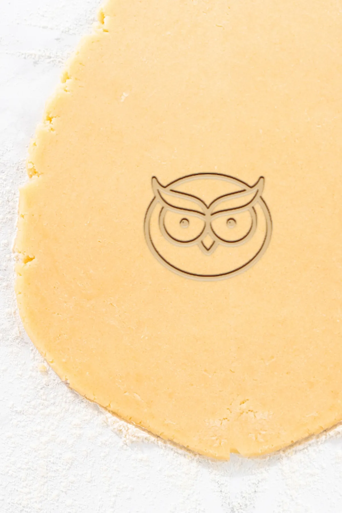 Owl Cookie Cutter, Biscuit Cutter