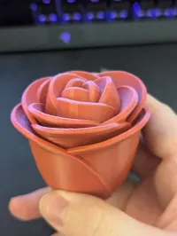 Ring Box-1