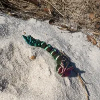 Articulated Baby Dragon-1