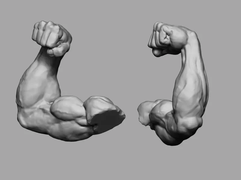 Doble biceps pose (only arms)