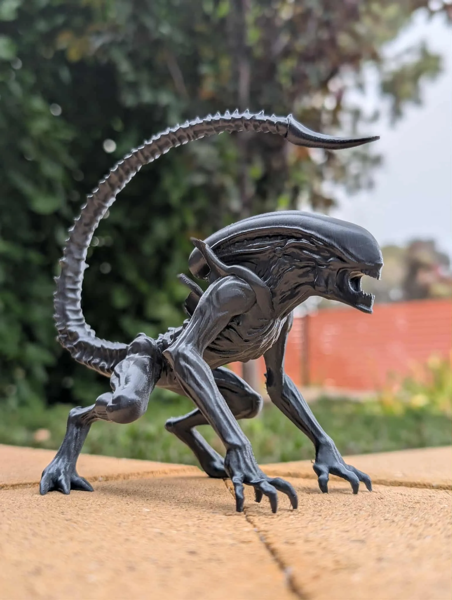 xenomorfo-4