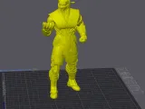 Ninja1-1