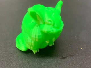 Chinchilla