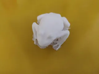 Frog.