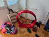 cat exercise wheel-2