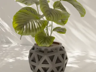 planter geodesic void for home decor and design