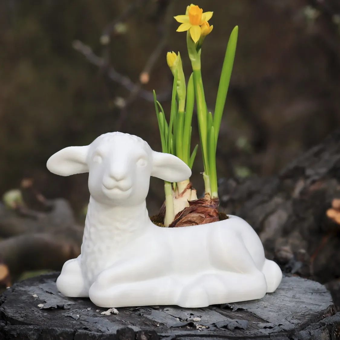 Lamb Planter / Bowl-0