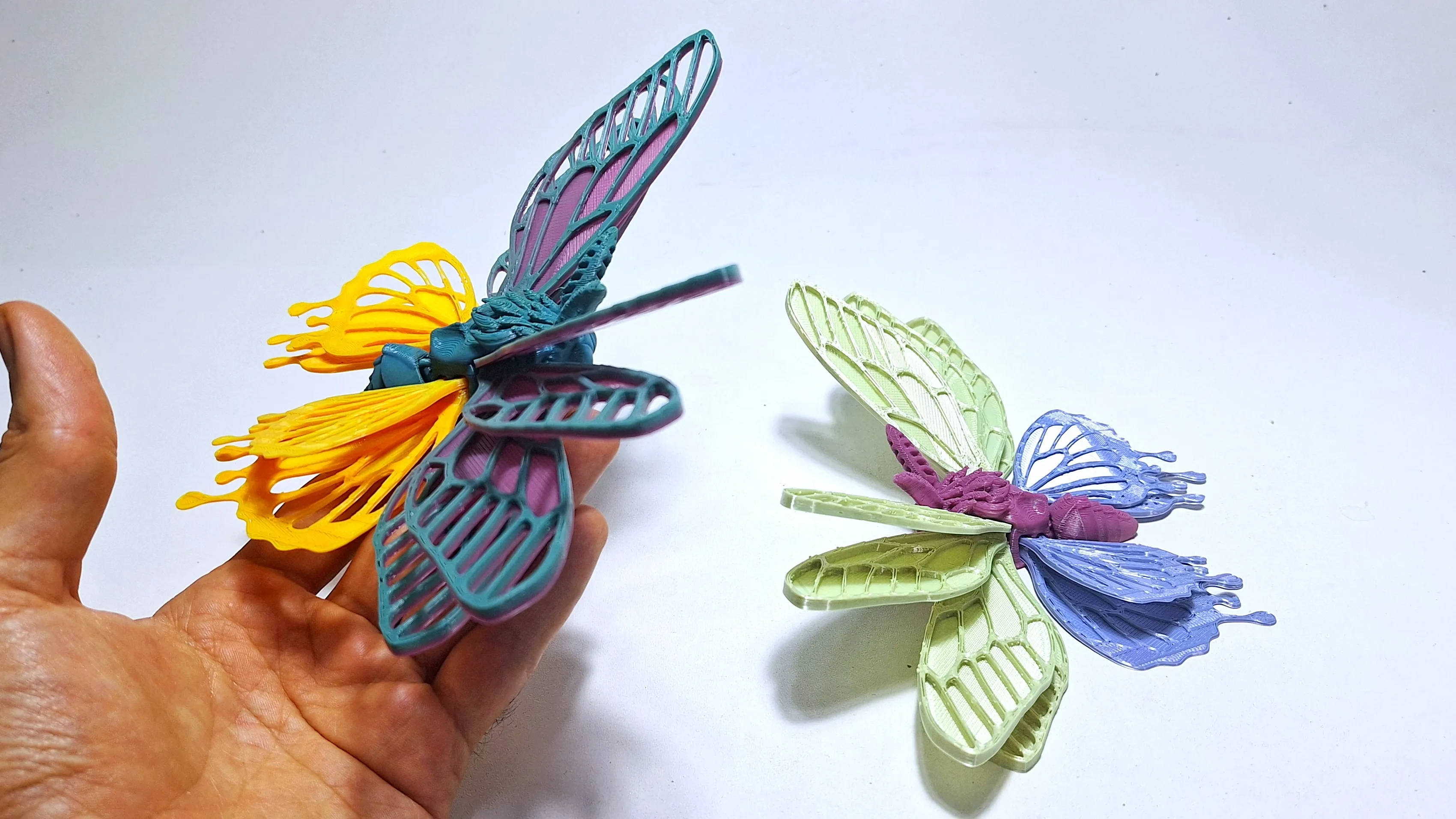 Aurora Winged Moth (stl/3mf files)