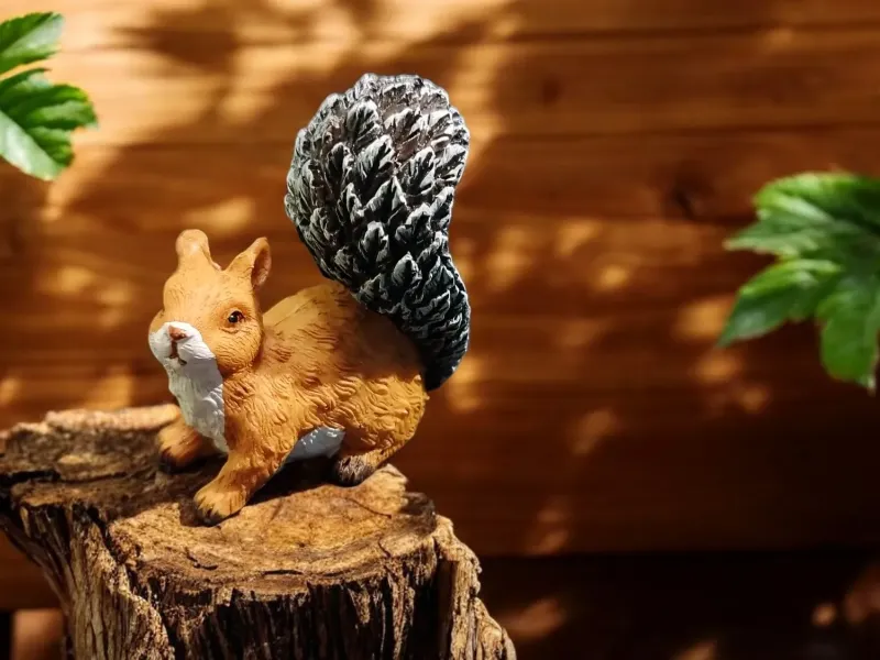 Squirrel