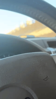 WAM Magnetic Bust for capturing favorite car rides-3