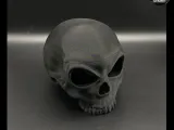 Skull Container Box 💀-3
