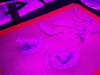 Magical Dragon-1