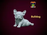 Bulldog model - america bully dog - 3D print-1