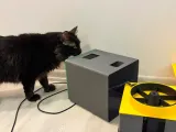 Automatic pet feeder-8