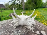 Dragon SKULL-8