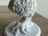 Biomechanical core - brain-2