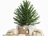 AVE Christmas Tree-0