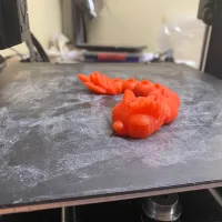 Articulated Baby Dragon-1