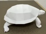 Low poly turtle-2