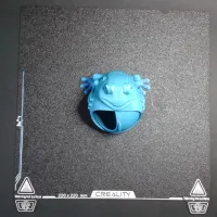 Frog keeps jewelry (not support)-5