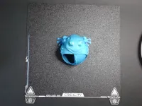 Frog keeps jewelry (not support)-5