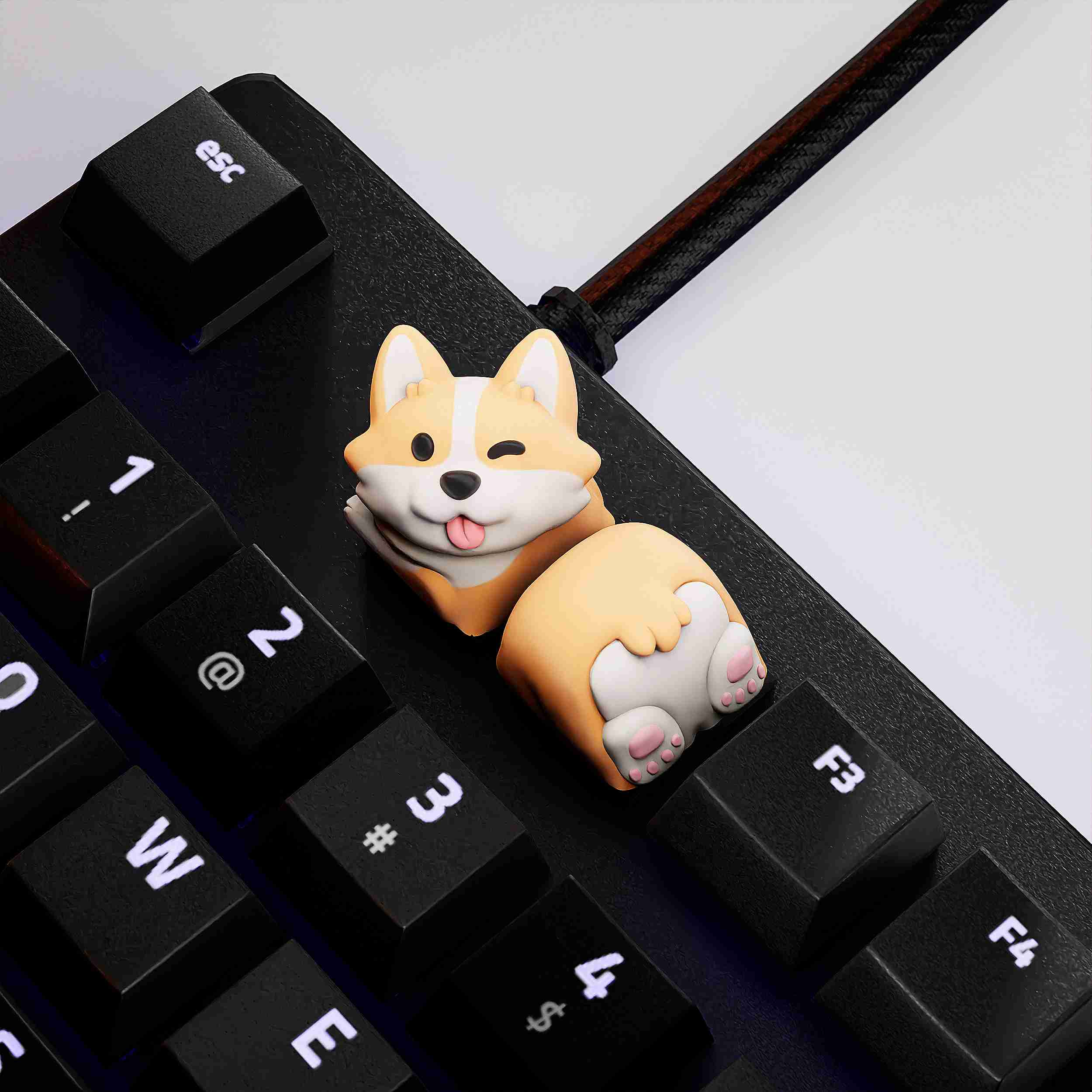 Puppy keycaps Mechanical Keyboard 3D models download