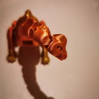 Arti-Brachi-2