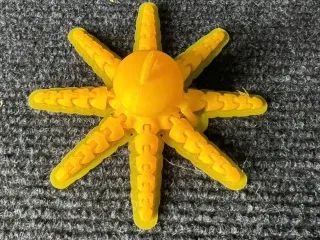 Octopus With Ring