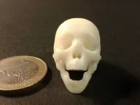 Punk skeleton-1-2