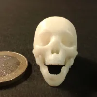 Punk skeleton-1-2