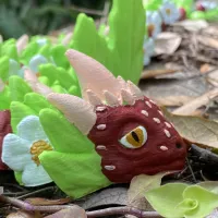 Strawberry Dragon-4