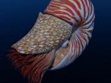Nautilus-0