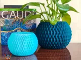 Flower Pot-1