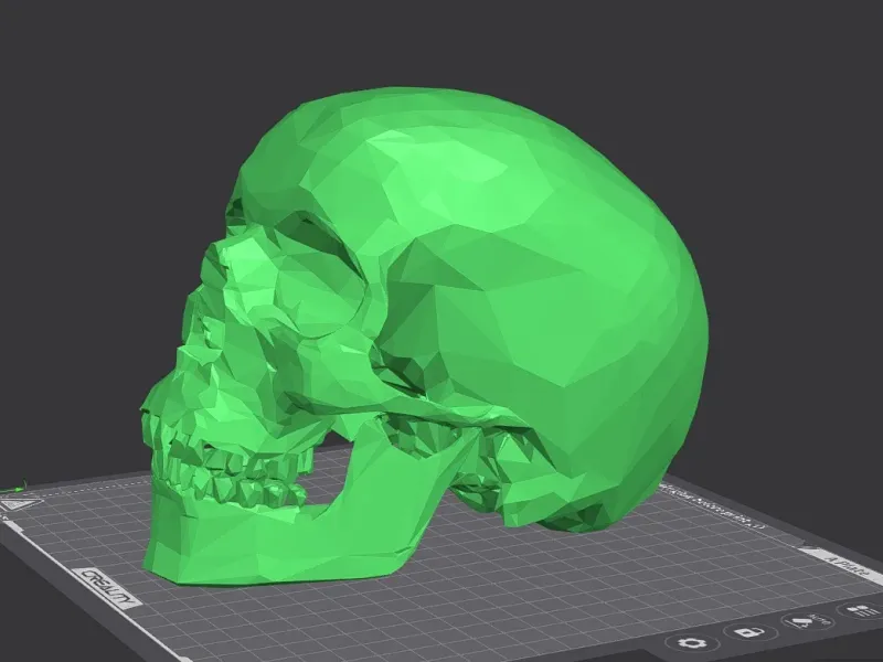 Crâne Skull Halloween