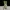 Couple Bear-onion_vegetable_Yier