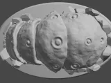 Rock Worm stomach 3D model PRINTABLE-3