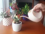 Annaffiatoio-3