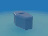 Coffin for pet fish-0