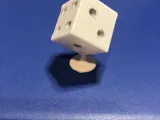 D6 Schoenbedel-1