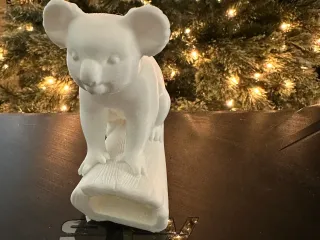 koala