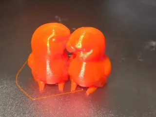 Love Birds