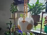 Dino Egg Bucket-3
