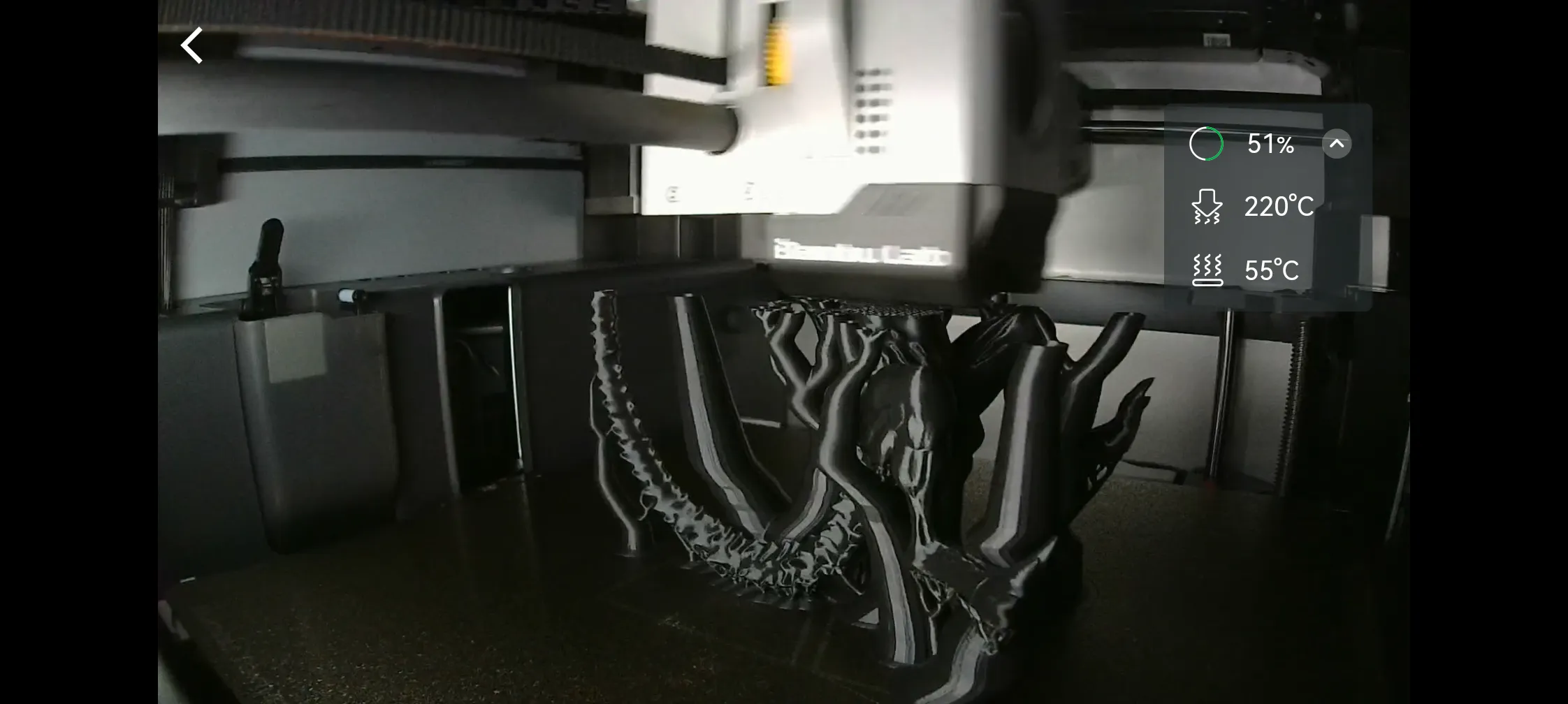xenomorfo-8