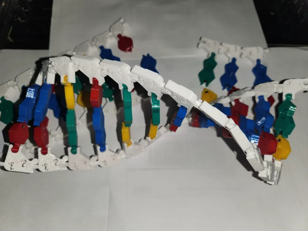 Spooky mutation possible DNA/RNA Magnetic model kit activity