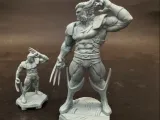 Wolverine Unmasked-4